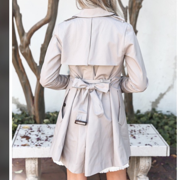 Perfect Classic Trench Coat - Picture 3 of 8